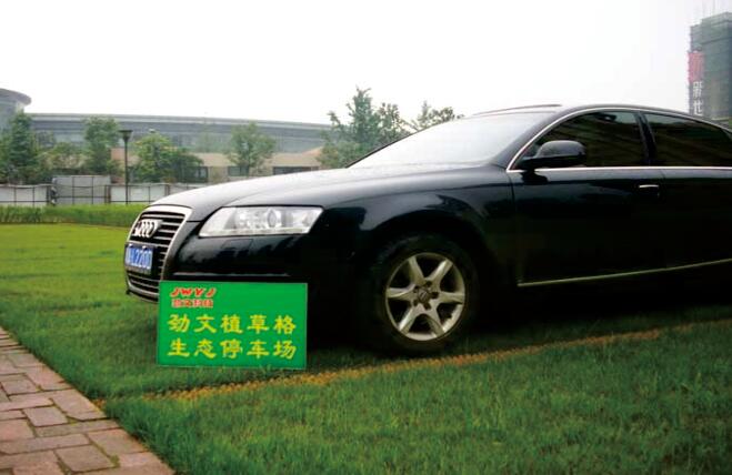 停車場(chǎng)植草格 停車場(chǎng)植草格